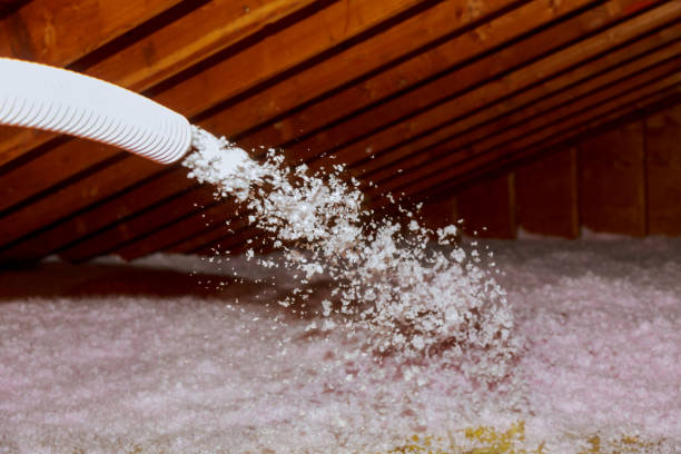Best Commercial Insulation in Sour Lake, TX